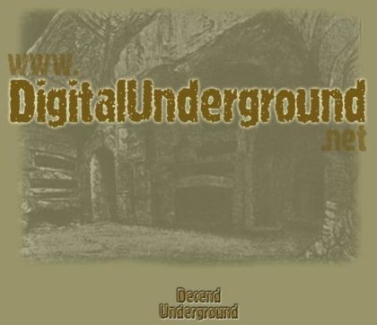 Digital Underground Gaming Blog 2001
